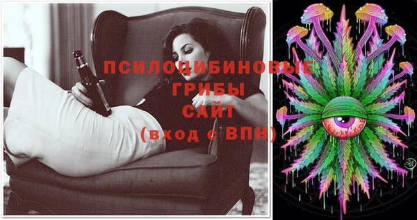 экстази Арсеньев