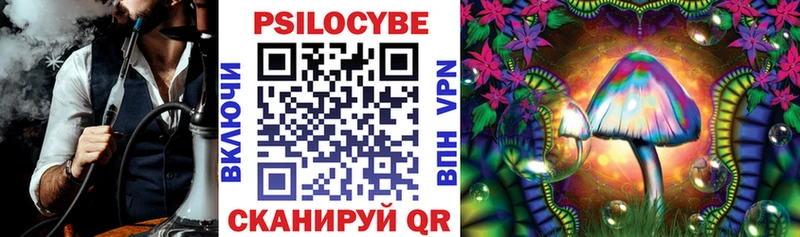 Купить  Дзержинский  Псилоцибиновые грибы Psilocybe 